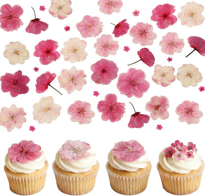 50 Pcs Pink Dried Pressed Flowers Cake Decorations Cherry Blossoms Flowers for Dessert Table Birthday Bridal Wedding Baby in Bloom Baby Shower Party Décor