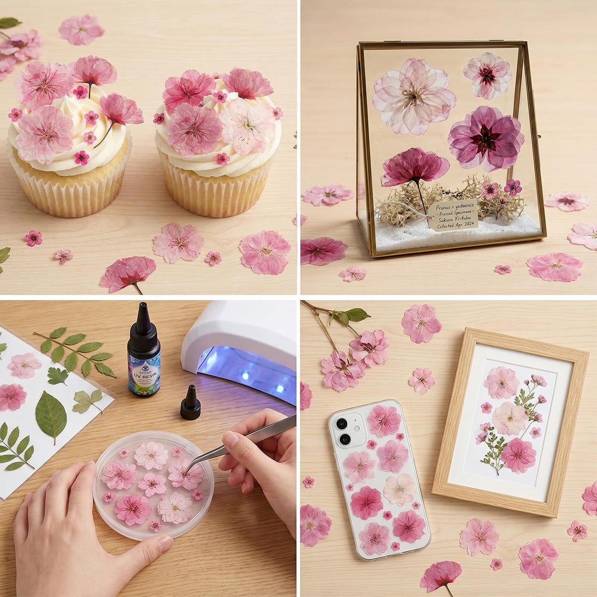 50 Pcs Pink Dried Pressed Flowers Cake Decorations Cherry Blossoms Flowers for Dessert Table Birthday Bridal Wedding Baby in Bloom Baby Shower Party Décor