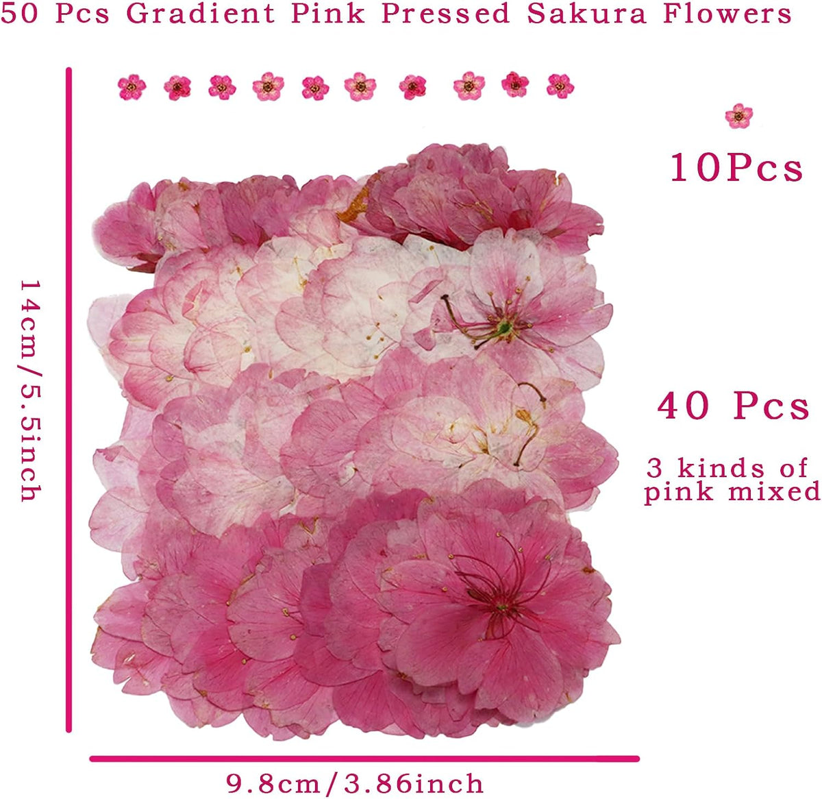 50 Pcs Pink Dried Pressed Flowers Cake Decorations Cherry Blossoms Flowers for Dessert Table Birthday Bridal Wedding Baby in Bloom Baby Shower Party Décor