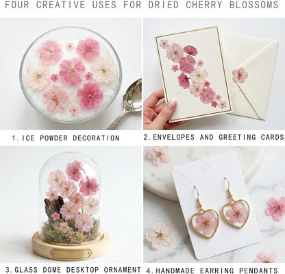 50 Pcs Pink Dried Pressed Flowers Cake Decorations Cherry Blossoms Flowers for Dessert Table Birthday Bridal Wedding Baby in Bloom Baby Shower Party Décor