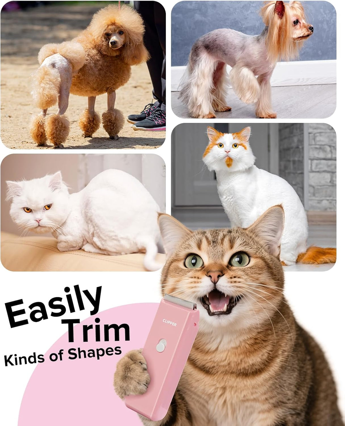Pet Clippers for Dog Hair Grooming Low Noise Cat Shaver