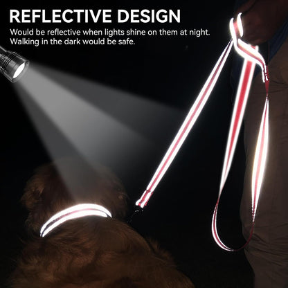 Dog Leash, 6 FT Double-Sided Reflective, Padded Handle Nylon Heavy Duty Leashes for Small Dogs Walking, Neon Pink