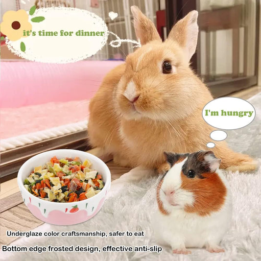 2 Pcs Hamster Ceramic Bowl, Small Animals Anti-Turning Food Water Bowl for Rabbit Hamster Guinea Pig Hedgehog Squirrel (Pink and Red)