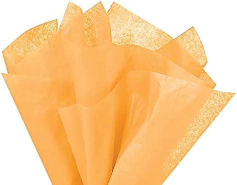 Tissue Paper Squares, Bulk 10 Sheets, Premium Gift Wrap and Art Supplies for Birthdays, Holidays, or Presents , Large 15 Inch x 20 Inch Made in USA (Peach)