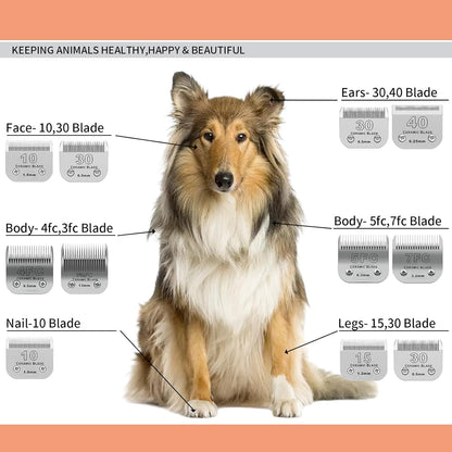 10# Dog Grooming Ceramic Blades,Compatible with Andis,Oster A5,Wahl KM10 | Size 10# Detachable Ceramic Blade 1/16-Inch 1.5MM Cut Length,3 Pack