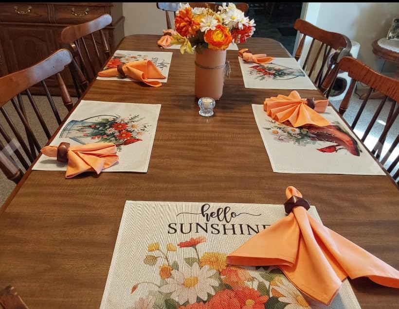 Peach Cloth Napkins Set of 6,100% Cotton,Thick,Reusable,Soft (Salmon)
