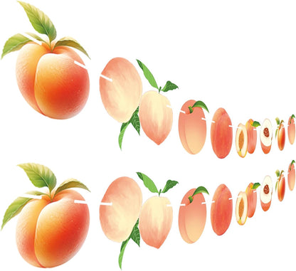 2PCS Peach Paper Banner, Cute Juicy Peach Baby Shower 2nd Birthday Fruit Party Favors Supplies Decorations Garlands for Carnival/Events