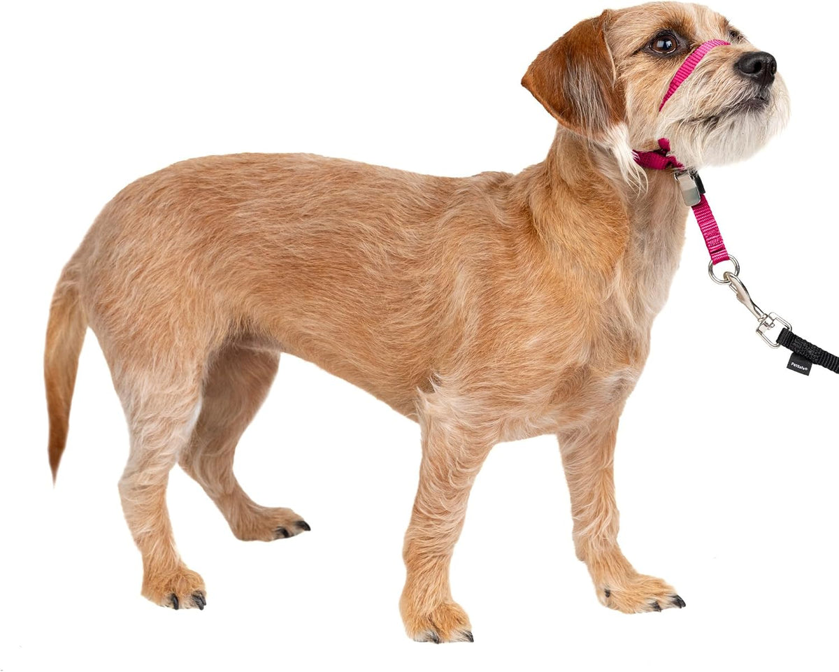 Gentle Leader No Pull Dog Headcollar, Raspberry Pink, Small