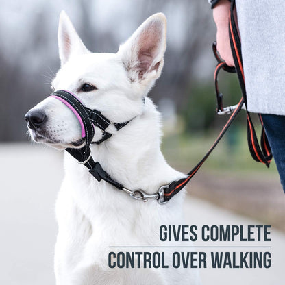 Dog Head Halter with Safety Strap - Stops Heavy Pulling On The Leash - Padded Headcollar for Small Medium and Large Dog Sizes - Head Collar Training Guide Included (Size 4, Pink)