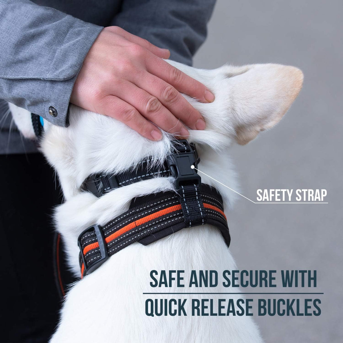 Dog Head Halter with Safety Strap - Stops Heavy Pulling On The Leash - Padded Headcollar for Small Medium and Large Dog Sizes - Head Collar Training Guide Included (Size 4, Pink)