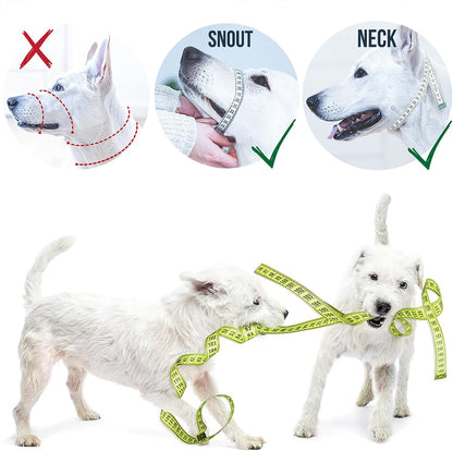 Dog Head Halter with Safety Strap - Stops Heavy Pulling On The Leash - Padded Headcollar for Small Medium and Large Dog Sizes - Head Collar Training Guide Included (Size 4, Pink)