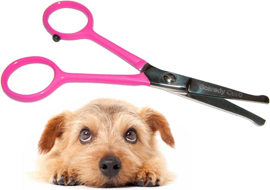 Tiny Trim 4.5" Ball-Tipped Scissor for Dog, Cat and all Pet Grooming - Ear, Nose, Face & Paw - 's small Safety Scissor