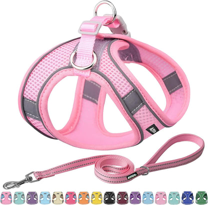 AIITLE Dog Harness and Leash Set, Step-in Puppy Pet Vest, Pure Pink XXXS