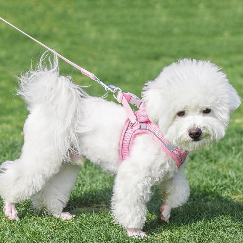 AIITLE Dog Harness and Leash Set, Step-in Puppy Pet Vest, Pure Pink XXXS