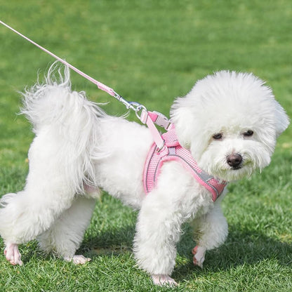 AIITLE Dog Harness and Leash Set, Step-in Puppy Pet Vest, Pure Pink XXXS