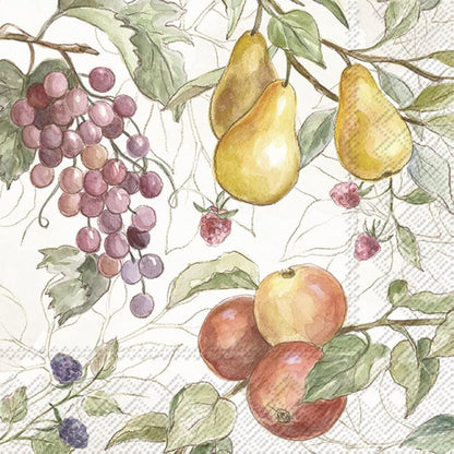 IHR Ideal Home Range Cocktail Napkins Disposable 3-Ply Paper Party Napkin Pack, 5" x 5", Country Fruits (Cream), 20-Count