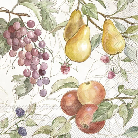 IHR Ideal Home Range Cocktail Napkins Disposable 3-Ply Paper Party Napkin Pack, 5" x 5", Country Fruits (Cream), 20-Count