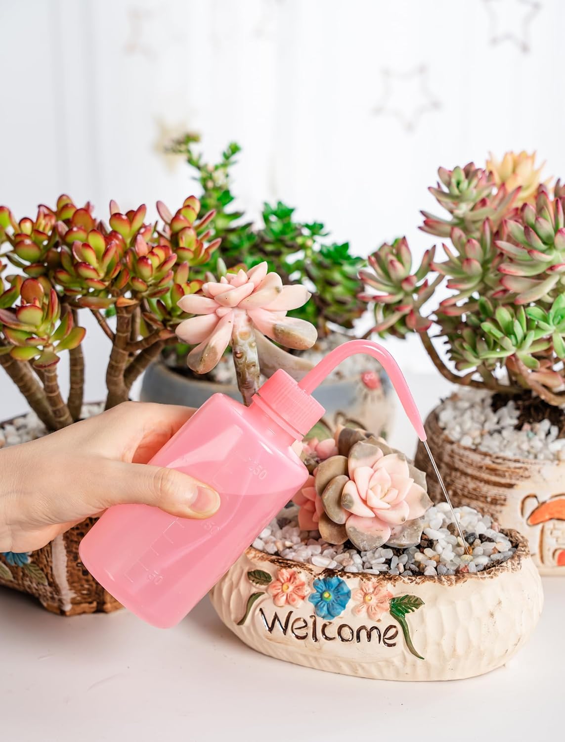 Tattoo Wash Bottle Squeeze, 2Pcs 250ml Water Squirt Bottle Succulent Watering, Safety Rinse Watering Tools, Tattoo Supplies, Irrigation Sprinkling Can Wash Plant (Pink)