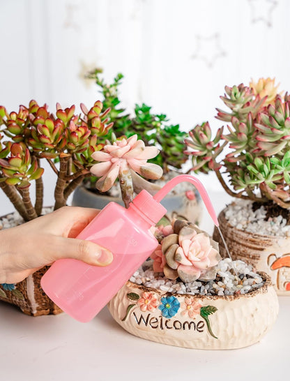 Tattoo Wash Bottle Squeeze, 2Pcs 250ml Water Squirt Bottle Succulent Watering, Safety Rinse Watering Tools, Tattoo Supplies, Irrigation Sprinkling Can Wash Plant (Pink)