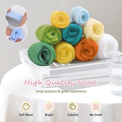 Needle Felting Kits Beginners, Natural Landscape DIY Wool Needle Felting Starter Kit, Floral Needle Felt Set with Foam Pad, Felt Cloth and Instructions, Used for Home Decoration (Pink)