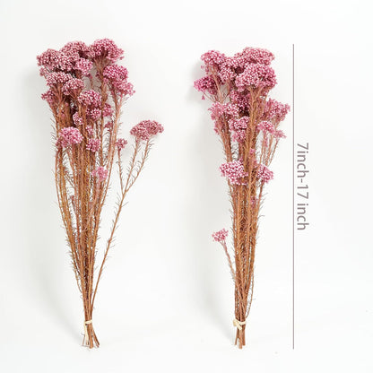 Natural Preserved Millet Flowers Dried Bouquet Flowers and Plants Arrangements for Home and Wedding Decoration (Cherry Pink)