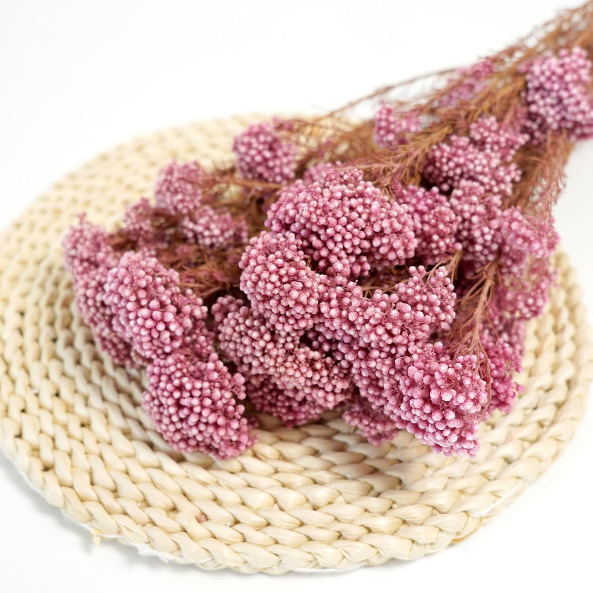 Natural Preserved Millet Flowers Dried Bouquet Flowers and Plants Arrangements for Home and Wedding Decoration (Cherry Pink)