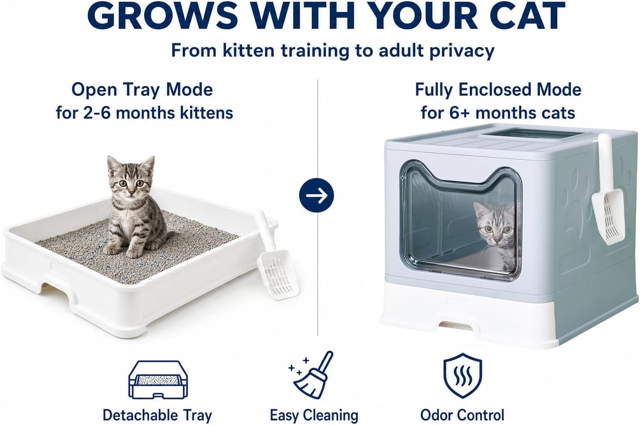 Medario Cat Litter Box with Litter Mat and Scoop, Large Covered Litter Box with Lid, Enclosed Kitty Box, Front Entry Top Exit, Odor Control, Easy to Clean (Blue)