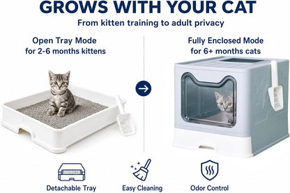 Medario Cat Litter Box with Litter Mat and Scoop, Large Covered Litter Box with Lid, Enclosed Kitty Box, Front Entry Top Exit, Odor Control, Easy to Clean (Blue)