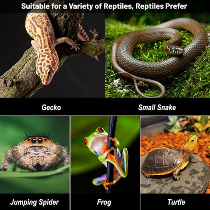 Small Reptile Hide,Gecko Hide Cave,Humid Hideout for Reptiles,with Humidification Groove,Temperature and Humidity Monitor,for Leopard Geckos,Lizards,Frog,Cornsnake-Small,5.51''×3.54''×2.2'' (Pink)
