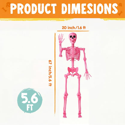 5.6 FT Halloween Posable Skeleton Life Size, Giant Outdoor Yard Skeletons, Pink Plastic Skeleton with Movable Joints for Haunted House Props, Halloween Decorations, Spooky Scary Skeletons Party