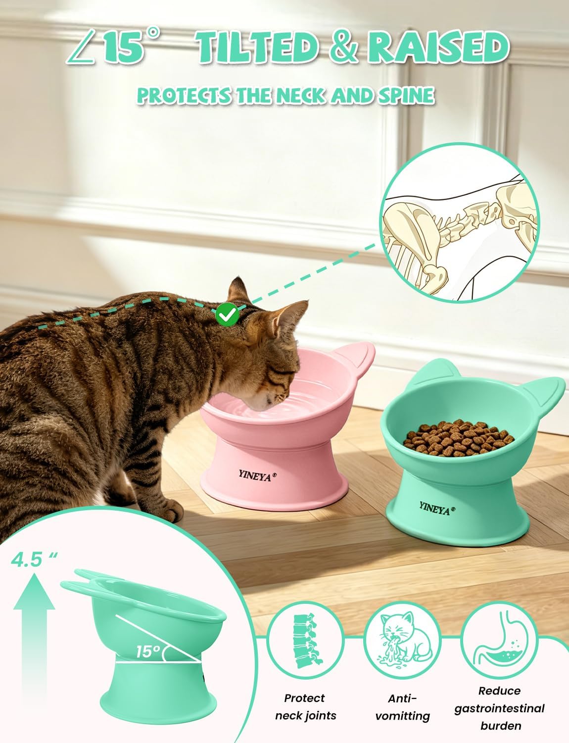 Elevated Cat Bowls 2 Pcs, Cat Food Bowl to Protect Neck & Anti-Vomit, Whisker-Friendly Raised Food and Water Bowls Set for Indoor Cats/Small Dogs, Cute Pet Feeding Bowl 6 OZ Each, Pink & Green