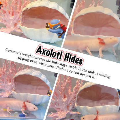 Axolotl Hide Shell Shape Ceramic Fish Tank Cave, Double Sided Glaze, Fish Tank Decor Shelter for Small Pet Frog Fish Betta (Extra Large, Pink)