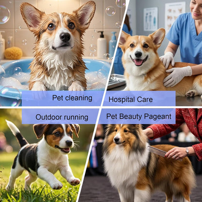 3 Pcs Grooming Loop, Nylon Restraint Noose Dog Grooming Leash | Adjustable Fixed Safety Tether Straps Grooming Supplies for Pet Grooming Table Bathtub