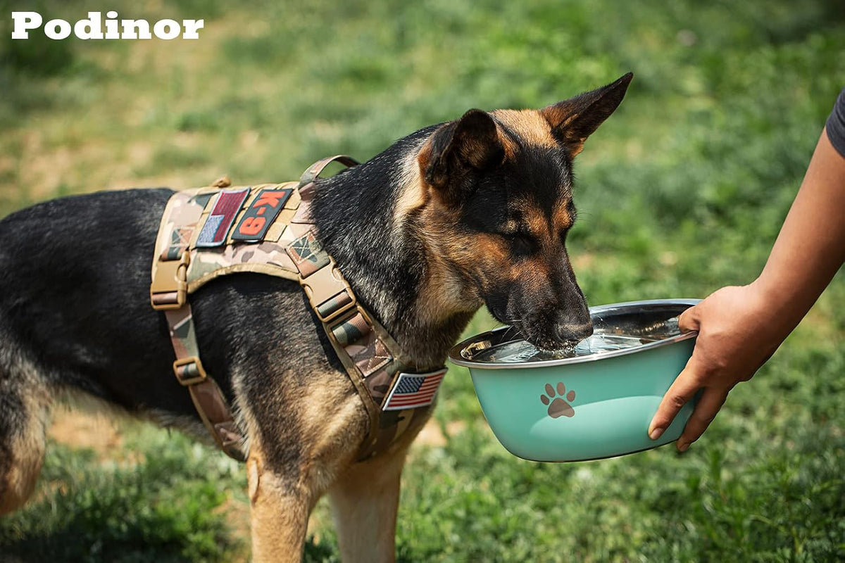 Large Dog Water Bowl 2 Pack, 1.3 Gallons 170oz Stainless Steel Extra Large Dog Food Bowl for Big Giant Dogs, Pink