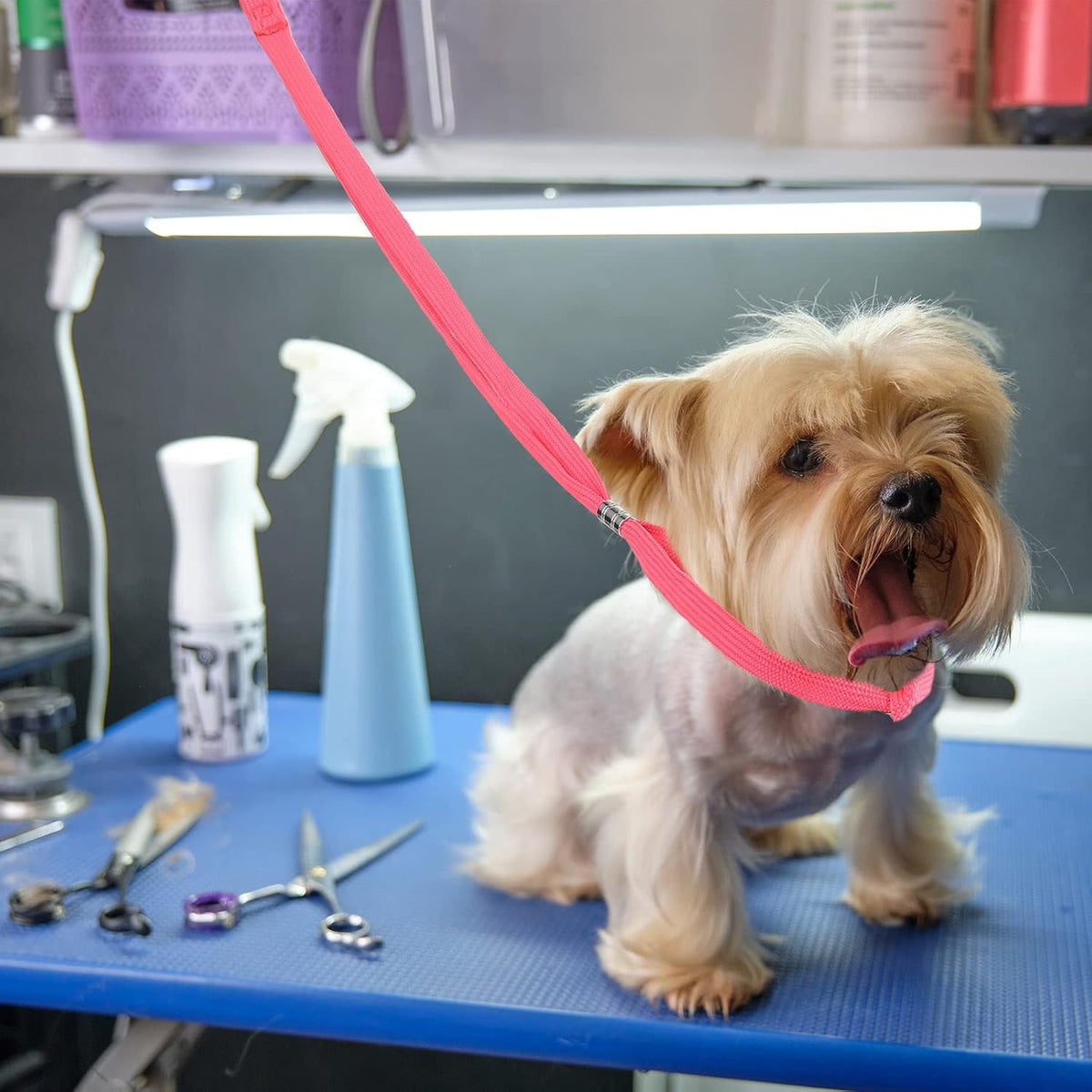 18 Pcs Pet Dog Grooming Loops Nylon Restraint Noose Adjustable Straps Fixed Dog Cat Safety Rope Supplies for Pet Grooming Table Bathtub, Blue, Black and Pink, 21 Inch