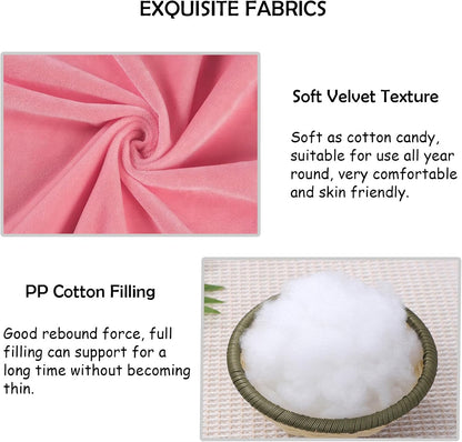 2 Pack Square Seat Cushion Chair Pads for Kitchen Dining Chairs, Soft Comfort Velvet Chair Mat Pillow Cushions with Ties for Office Desk Living Room Tatami 15.5", Pink