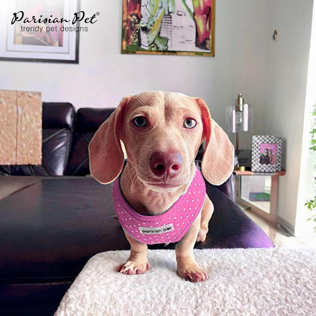 Pink Polka Dots Dog Harness - Breathable Mesh No Pull Puppy Harness with D Ring - Adjustable Freedom Harnesses for Dogs - Soft Padded Step-in Pet Vest - Dog Vests for Medium Dogs Girls