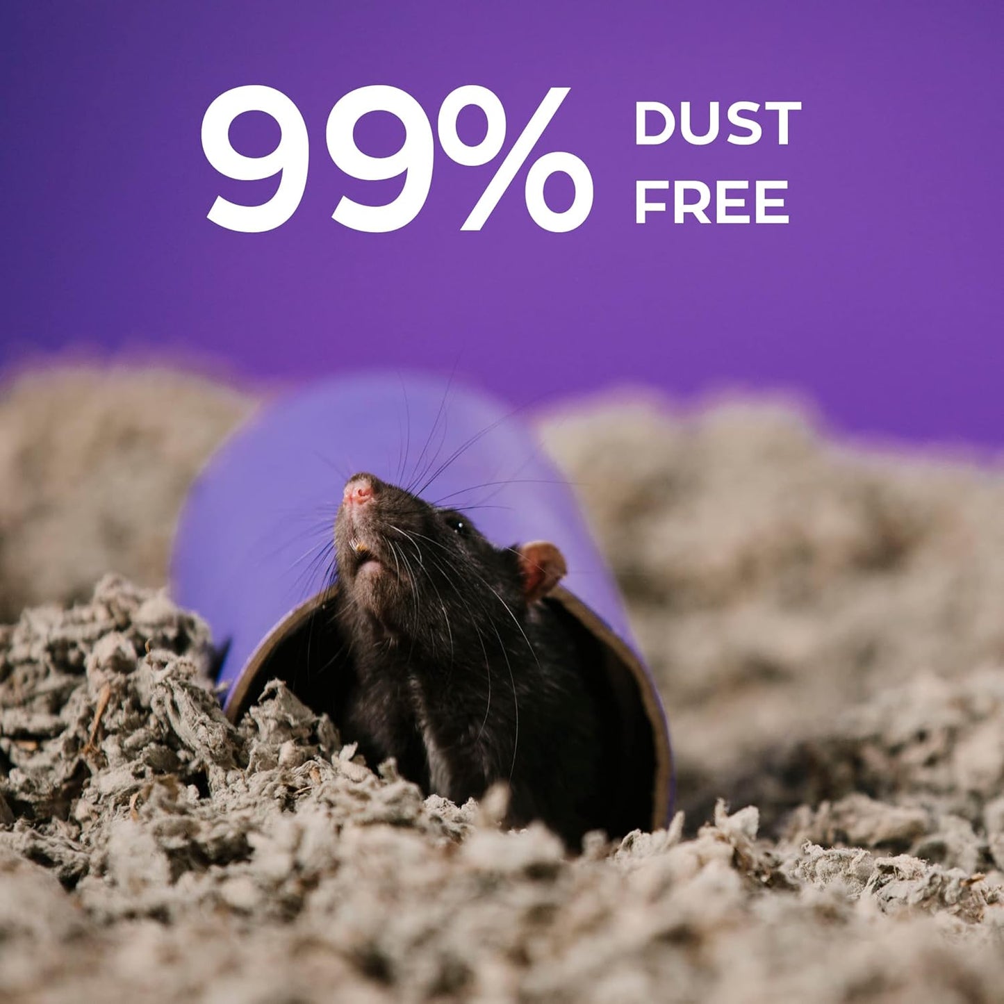 Carefresh Small Pet Bedding, 99% Dust-Free Natural Paper with Superior 10 Day Odor Control & Absorption for Guinea Pigs, Hamsters, Rabbits, & Rats, 60 L