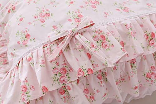 Romantic Roses Print Duvet Cover Set with Bed Skirt Pink Lace Ruffle Floral Shabby Chic Bedding Sets Full 4 Piece