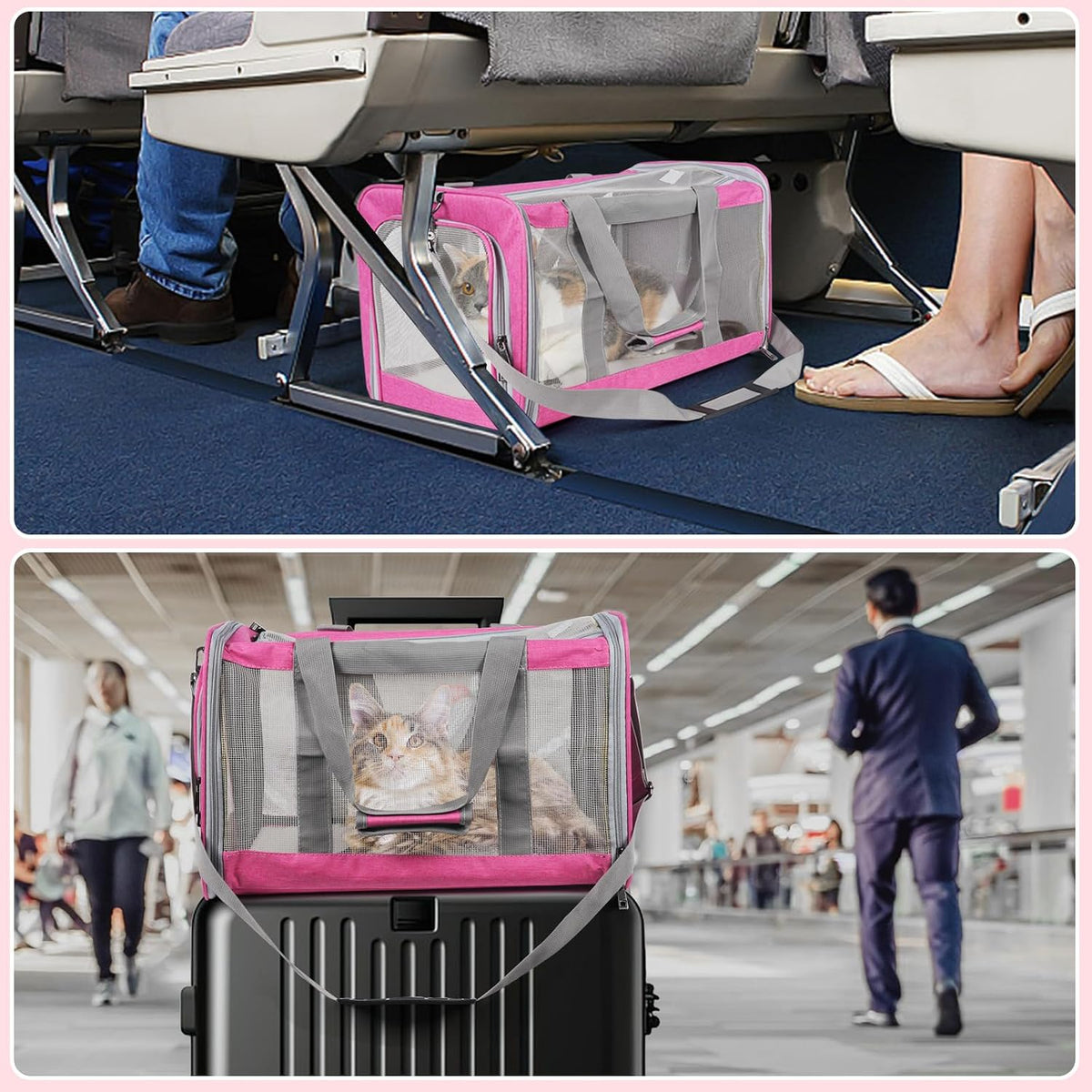 Pet Carrier for Large Cats of 16 Lbs, Collapsible Carrier Bag for Medium Cat or Kittens,Soft Sided Puppy Carrier with Sturdy Travel Transport Strap, Adequate Ventilation, 4 Mesh Windows (Pink)