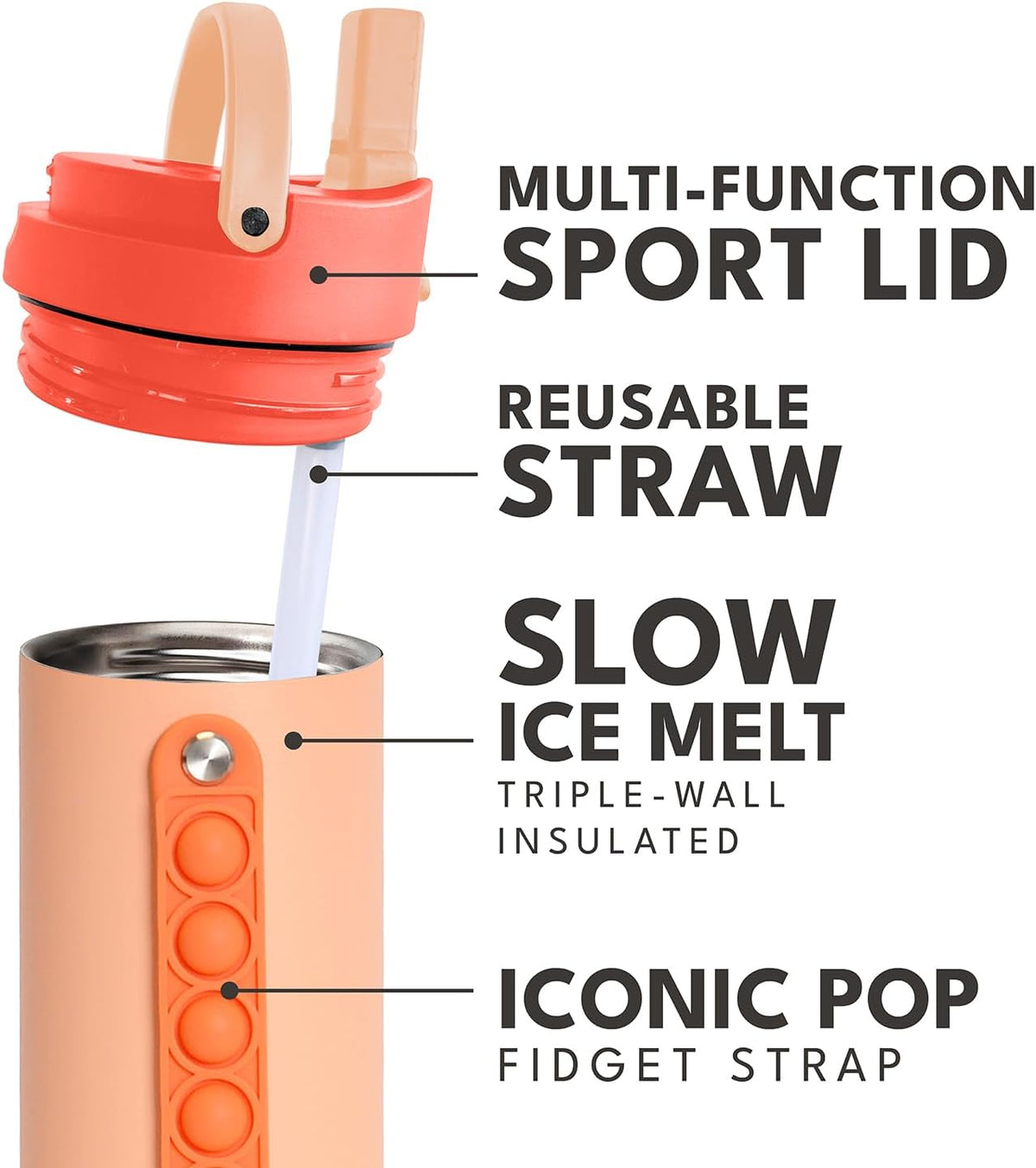 Iconic 20oz Kids Insulated Water Bottle w/Straw & Pop-It Handle