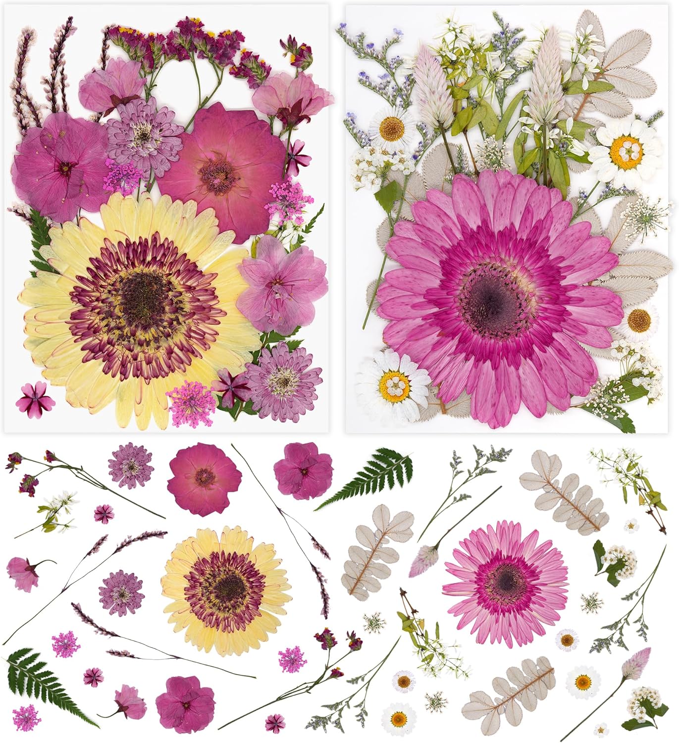 2 Packs Dried Pressed Flowers for Resin Molds,Real Natural Bulk Dry Floral Leaves，Big Pink Dried Flowers for Crafts,Scrapbooking DIY Art,Epoxy Jewelry, Candle, Soap Making,Pressed Flower Art