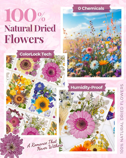 2 Packs Dried Pressed Flowers for Resin Molds,Real Natural Bulk Dry Floral Leaves，Big Pink Dried Flowers for Crafts,Scrapbooking DIY Art,Epoxy Jewelry, Candle, Soap Making,Pressed Flower Art