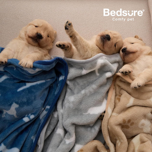 Bedsure 3-Pack Dog Blanket, Ultra-Soft Flannel Fleece Puppy Blanket with Cute Dog Prints, Machine Washable Pet Blanket for Indoor Crate Bed & Travel, Pet Throw Blanket for Small Doggy Kitten, 23x16