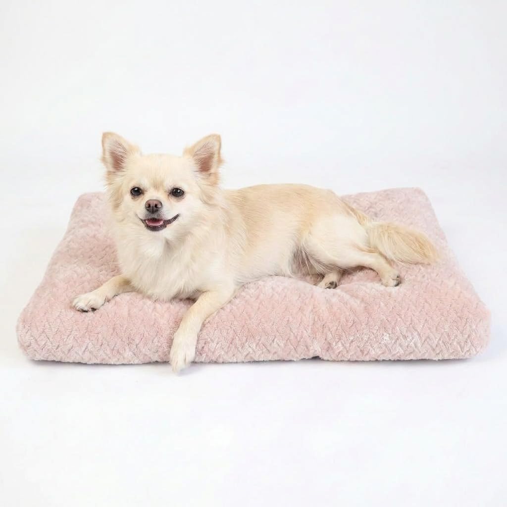 22 Inch Dog Crate Bed for Small Dogs