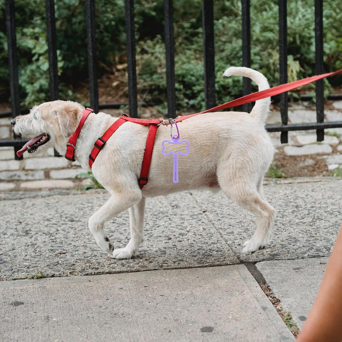 3pcs Dog Waste Bag Holder Clips Hands-free Knot Fixing Portable Pet Poop Bag Leash Carrier for Walking Dogs with Pink, Purple, and Gray