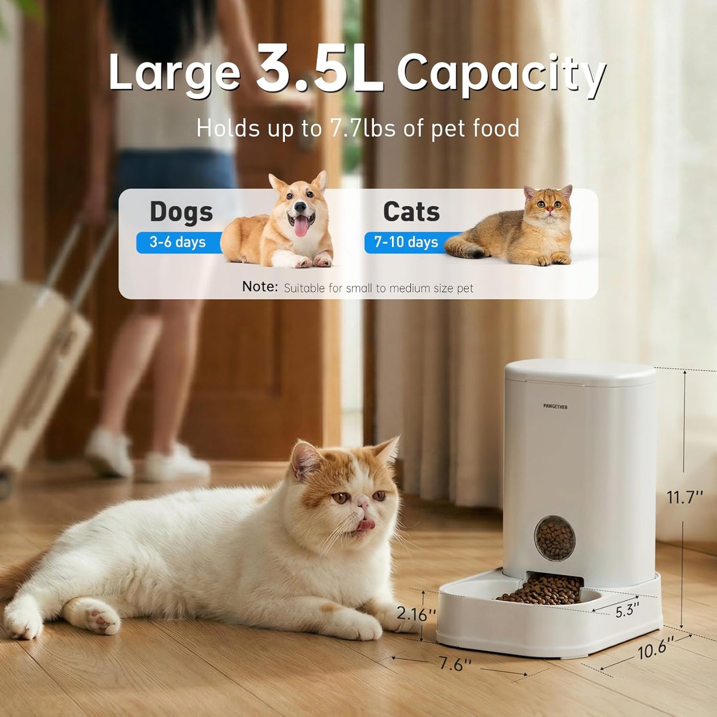 PAWGETHER® Gravity Cat Feeder, 1 Gallon/3.5L Dog Food Dispenser, No-Electricity Automatic Pet Feeder, Auto Refill Food Bowl for Cats & Small, Medium Dogs Easy to Fill