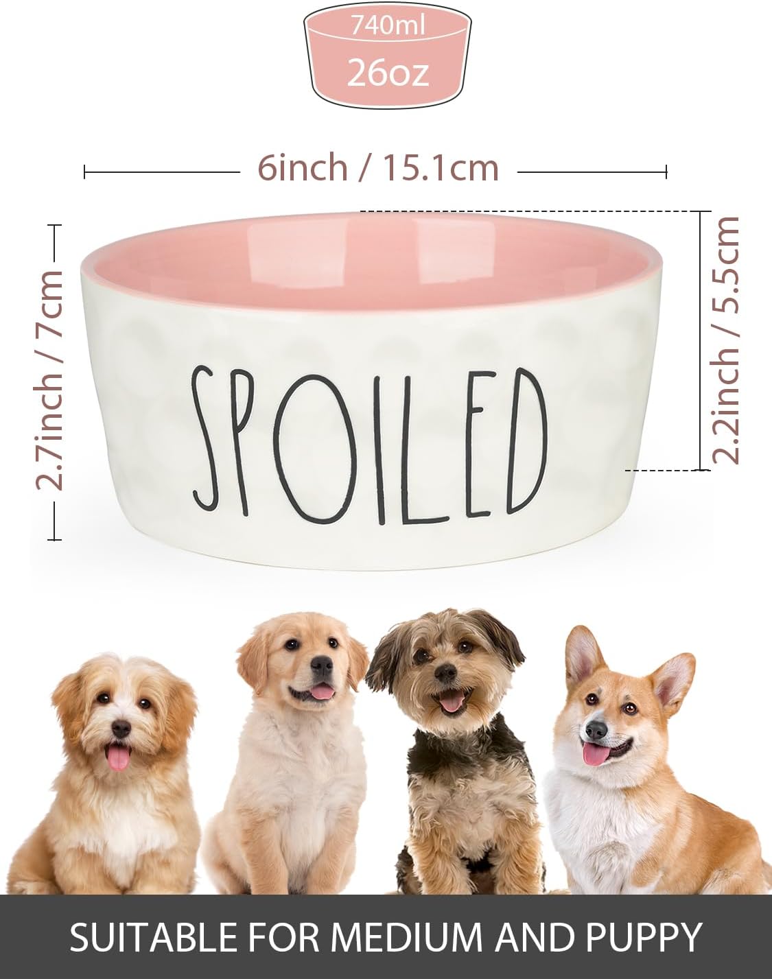 27OZ Ceramic Dog Bowl 6 Inch Small Food Water Bowl