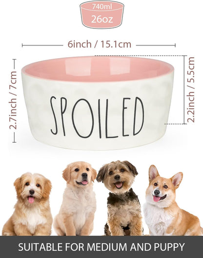 27OZ Ceramic Dog Bowl 6 Inch Small Food Water Bowl