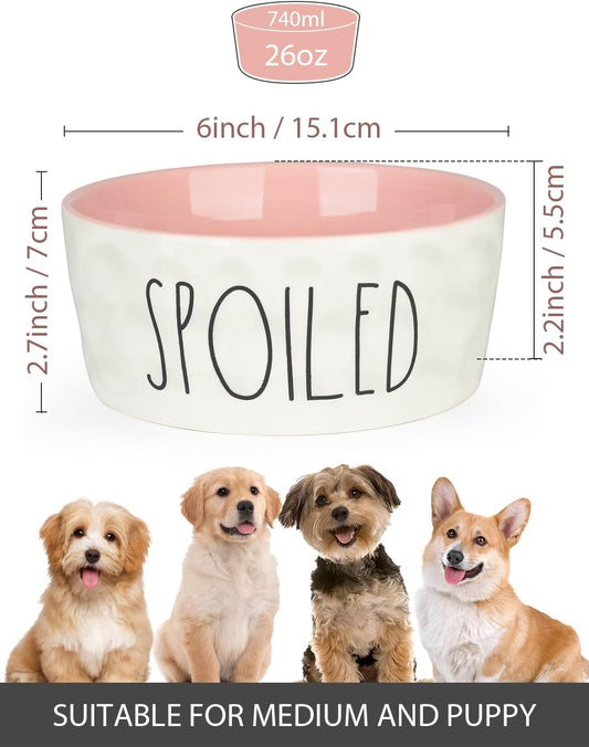 27OZ Ceramic Dog Bowl 6 Inch Small Food Water Bowl